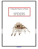 SPIDERS Theme Preschool Daycare Curriculum BIG 106 pgs  