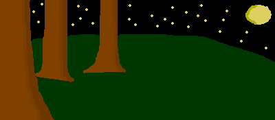 [PokeCommunity.com] Nighttime Scene