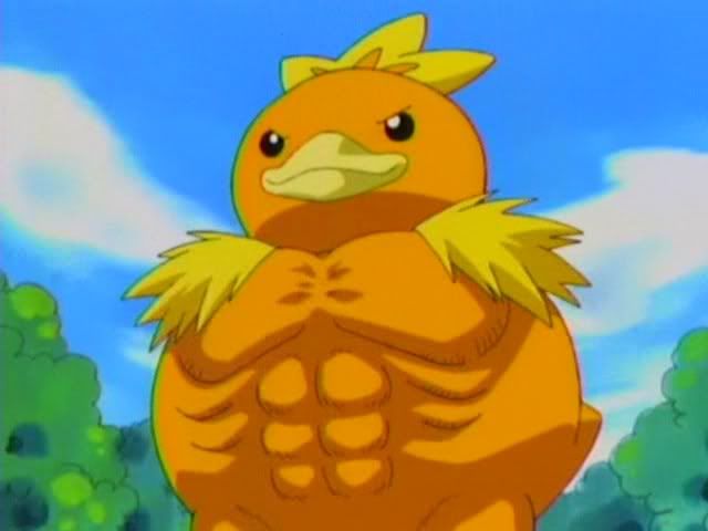 [PokeCommunity.com] The May/Haruka Fan Club
