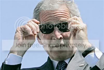 DamnItFeelsGoodToBeAGangta.jpg