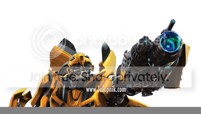 bumblebee.jpg