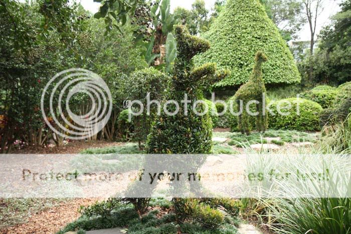 Roma Street Parklands ..Topiary RS-Trop-IMG_1206