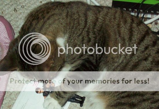  photo clintno4_zpsfb80a1db.jpg