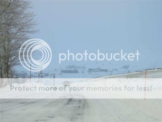 Photos du plateau durant l'hiver 2006 par M.Pinto Georges Hiver2006jaunac051