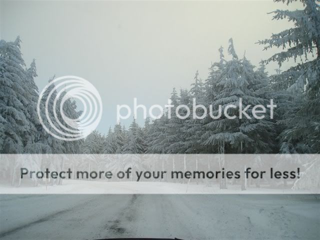 Photos du plateau durant l'hiver 2006 par M.Pinto Georges Hiver2006jaunac055