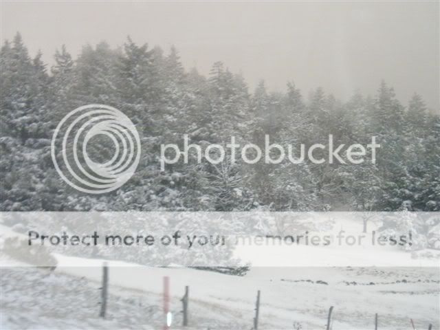Photos du plateau durant l'hiver 2006 par M.Pinto Georges Hiver2006jaunac063