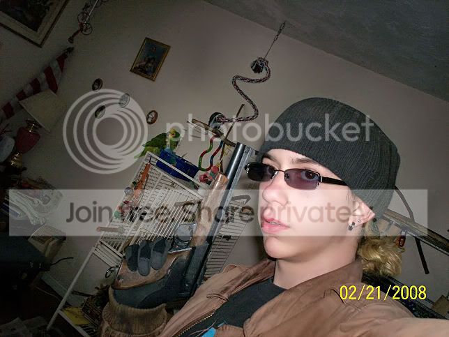 User Image
