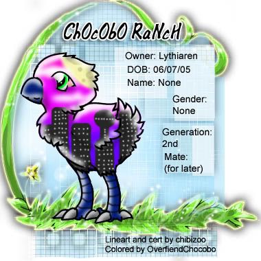 User Image