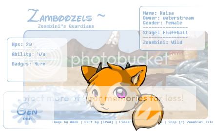 User Image