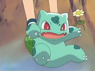 [PokeCommunity.com] May Fan Club!!