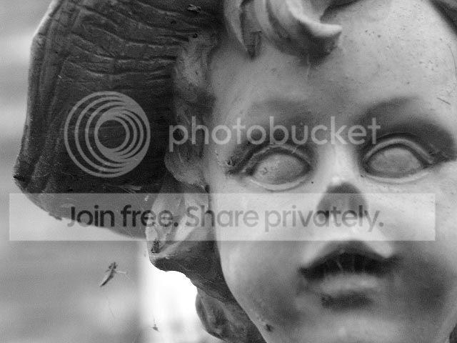 Image hosting by Photobucket