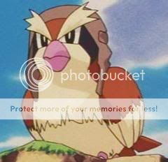 The Aviary: Bird Pokemon Forever!