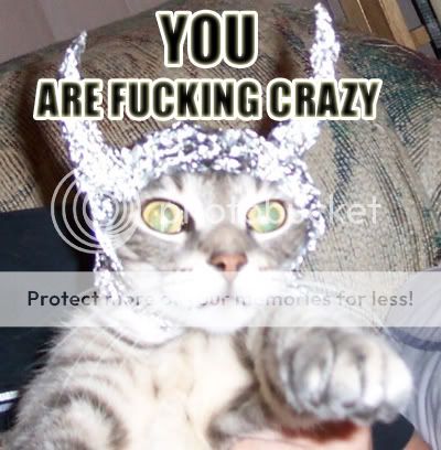 Crazy Cats :D Fuckingcrazy