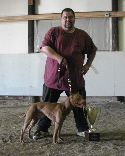 Saline Michigan ADBA show 5/31 Bronsoncup2