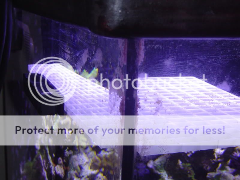 DIY Frag Rack | Reef Central Online Community