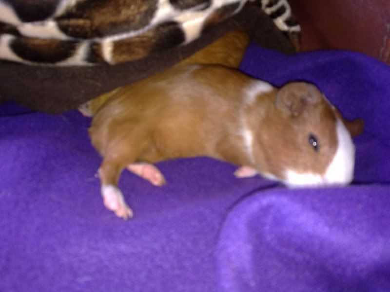 24062011102.jpg