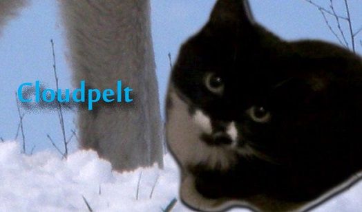 Current BirdClan Plot - Page 2 Cloudpelt