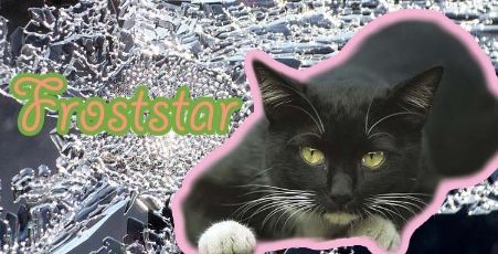 Former FrostClan Cats Froststar