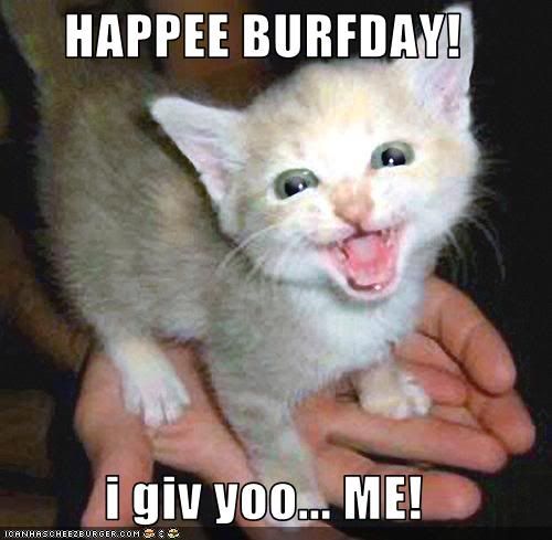 Happy Birthday Skycloud!! Funny-pictures-kitten-is-your-birth