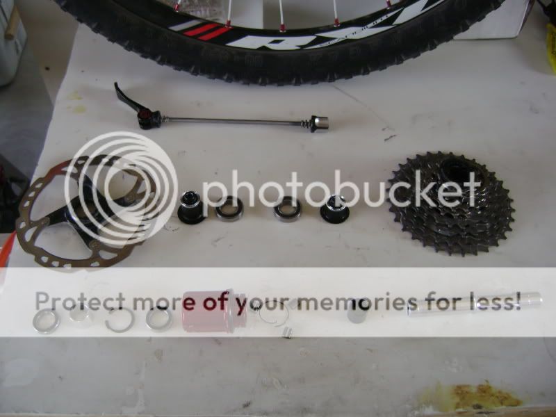 Bontrager RXL rear hub opened up