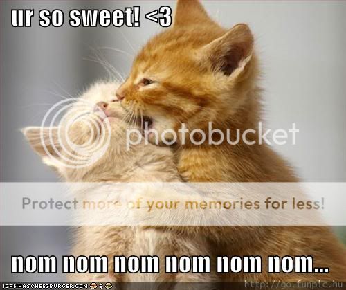 Funny Pictures - Page 2 Funny-pictures-kittens-eating-sweet-kittens-nom