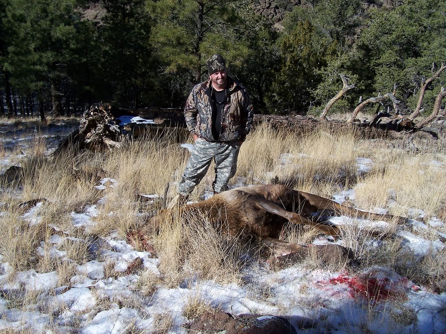 Arizona Elk/ Pronghorn Draw Results | Expedition Portal