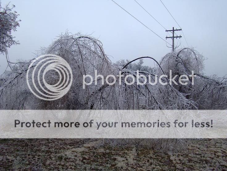 We got hammered by this ice storm dammit! DSC00182