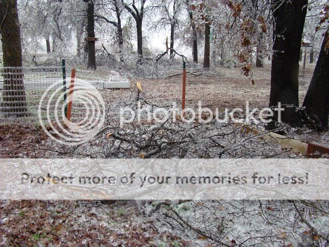 We got hammered by this ice storm dammit! DSC00201