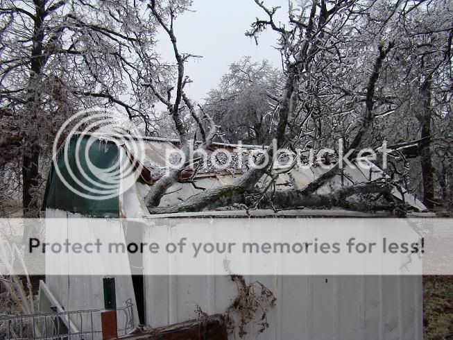 We got hammered by this ice storm dammit! DSC00207