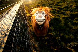 Image hosting by Photobucket