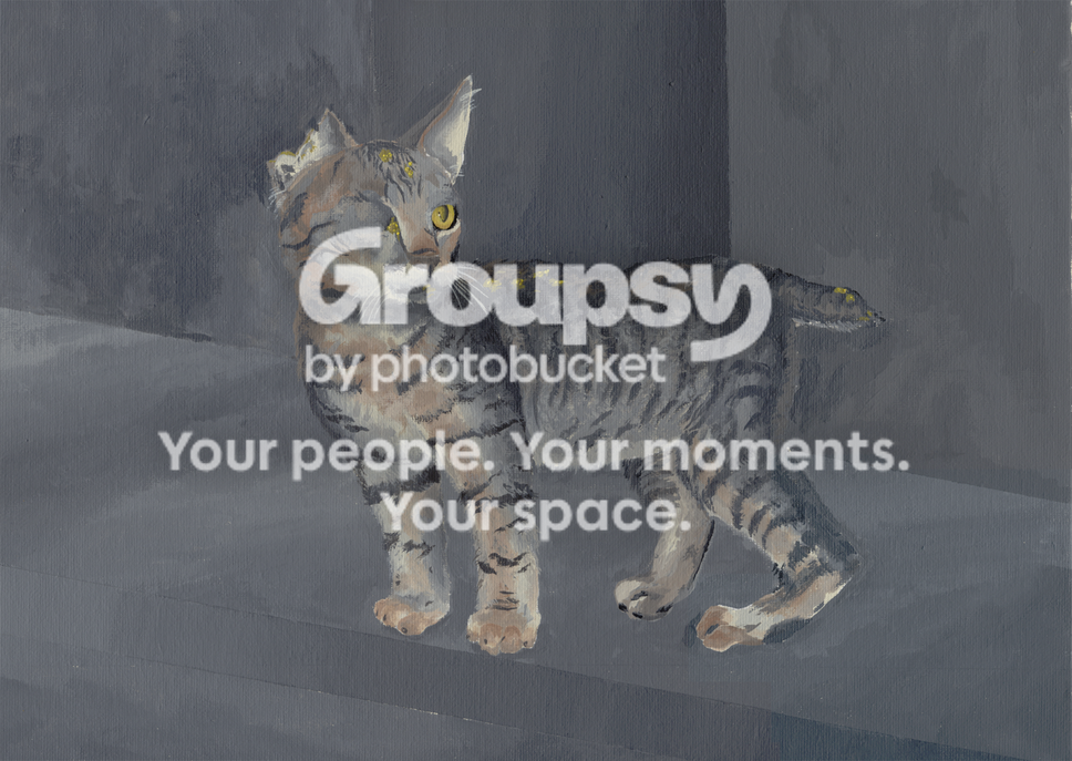 User Image