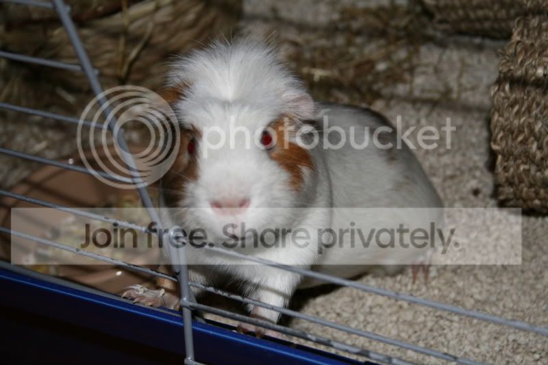 IMG_1738.jpg