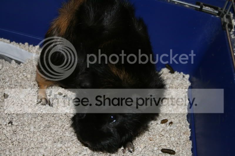 IMG_1751.jpg