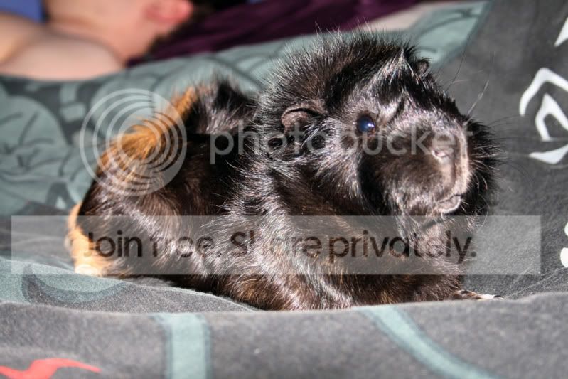 IMG_1765.jpg