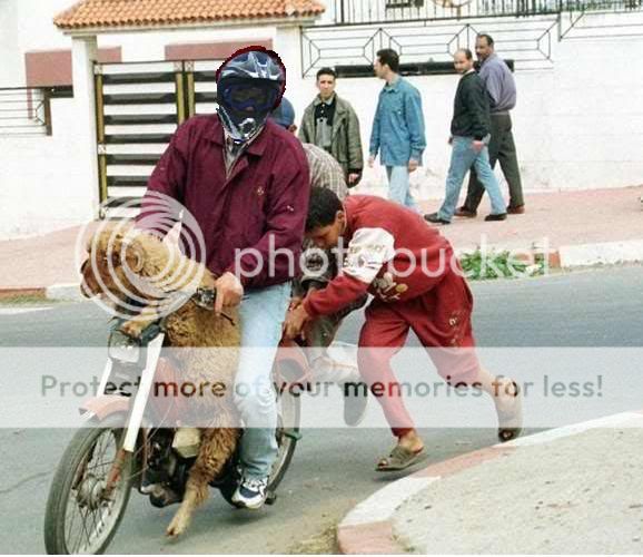 alekosconsucordera.jpg