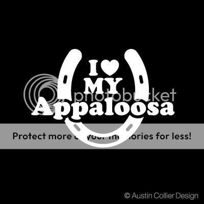 LOVE MY APPALOOSA Vinyl Decal Car Window Sticker  