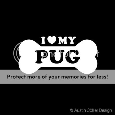 LOVE MY PUG Vinyl Decal Car Window Sticker   Dogs  