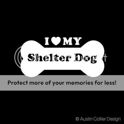 LOVE MY SHELTER DOG Vinyl Decal Car Sticker   Rescued  