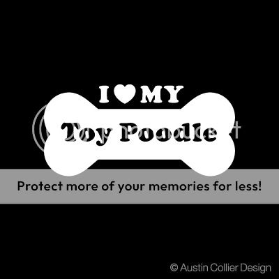 LOVE MY TOY POODLE Vinyl Decal Car Sticker   Tiny Dog  
