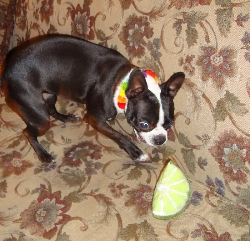 Photobucket