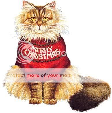 A catbox christmas Christmas_Comments_22