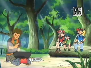 [PokeCommunity.com] The Official Brock Fan Club