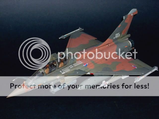 Sukhoi Su-47 Berkut camo splinter [Italeri 1/72] Nouvelles photos au 16/10/12  - Page 2 RafaleK1a-1