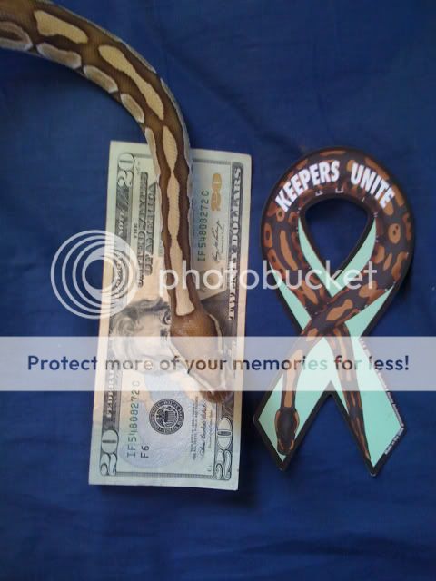 Keepers Unite Magnetic Ball Python Snake Ribbon 3 x 6  