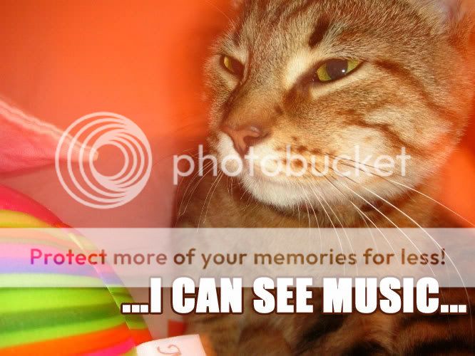 Photo Sharing and Video Hosting at Photobucket