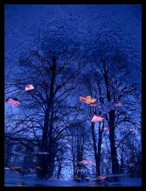 https://img.photobucket.com/albums/v475/Nesveika/05-05-13/The_Last_Leaves_by_x_horizon.jpg