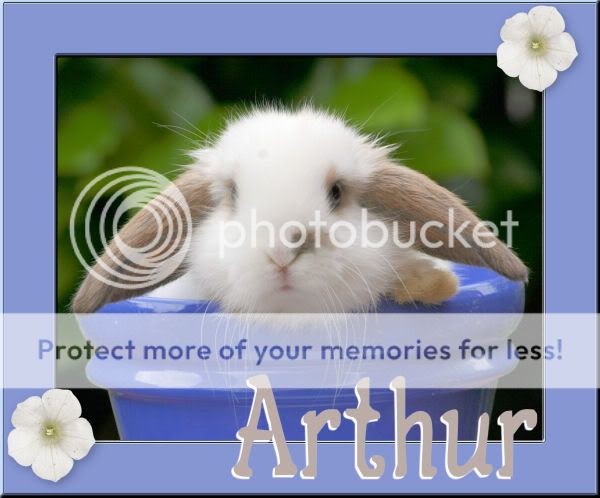 In loving memory, Arthur Arthur