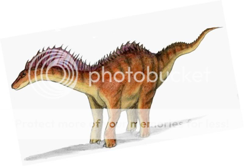 (2)عالم الدينصورات الأسطورية Amargasaurus