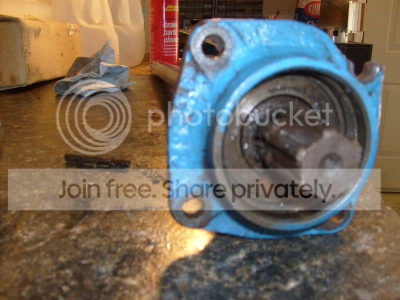 S6301113.jpg