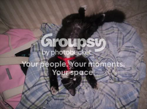 Photobucket